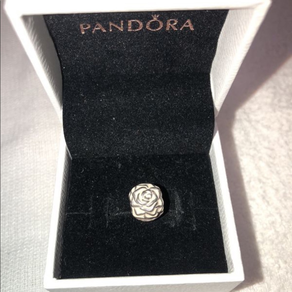 Pandora Flower Clip Charm
